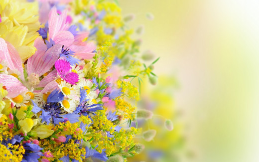 995907 (a): :1920x1200